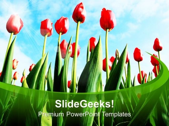 Big Tulips Decoration Celebration PowerPoint Templates Ppt Backgrounds For Slides 0213
