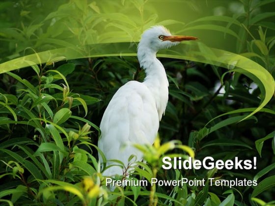 Bird In Tree Animals PowerPoint Themes And PowerPoint Slides 0211 Bird In Tree Animals PowerPoint Themes And PowerPoint Slides 0211