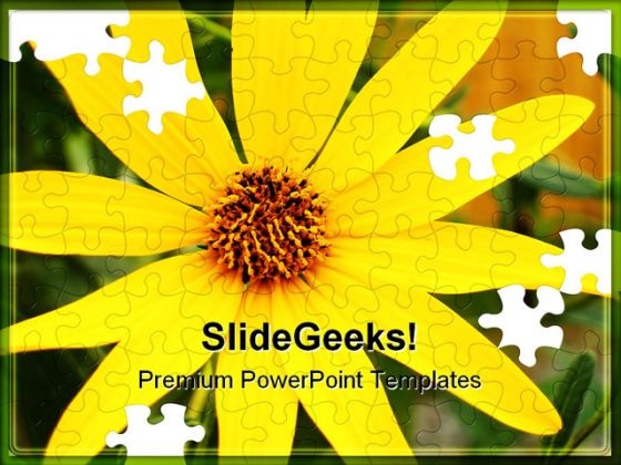 Black Eyed Susans Nature PowerPoint Templates And PowerPoint Backgrounds 0211