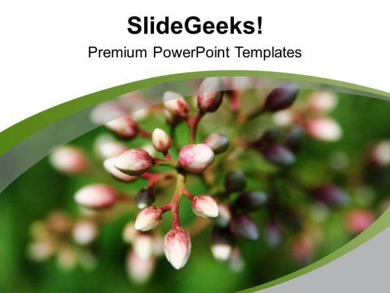 Blooming Buds Natural Beauty PowerPoint Templates Ppt Backgrounds For Slides 0613