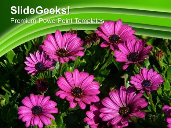 Blooming Flowers Nature Beauty PowerPoint Templates Ppt Backgrounds For Slides 0213 Blooming Flowers Nature Beauty PowerPoint Templates Ppt Backgrounds For Slides 0213