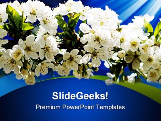 Blooming Flowers Nature PowerPoint Templates And PowerPoint Backgrounds 0311 Blooming Flowers Nature PowerPoint Templates And PowerPoint Backgrounds 0311
