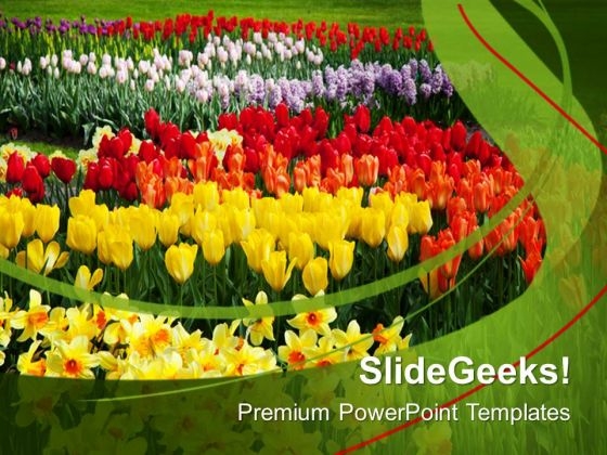 Blooming Spring Flowers Nature PowerPoint Templates Ppt Backgrounds For Slides 0213 Blooming Spring Flowers Nature PowerPoint Templates Ppt Backgrounds For Slides 0213