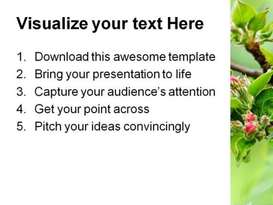 blossom_beauty_nature_powerpoint_template_0810_print