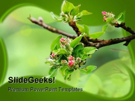 Blossom Beauty Nature PowerPoint Template 0810