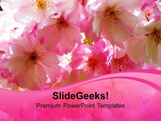 cherry blossom powerpoint template