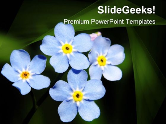 Blue Flowers Beauty PowerPoint Templates And PowerPoint Backgrounds 0311 Blue Flowers Beauty PowerPoint Templates And PowerPoint Backgrounds 0311
