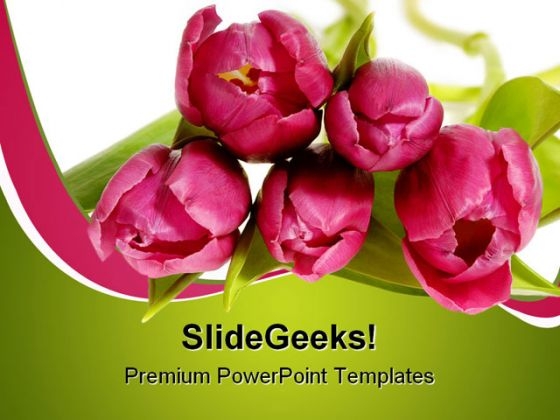 Bouquet Of Pink Tulips Beauty PowerPoint Templates And PowerPoint Backgrounds 0311 Bouquet Of Pink Tulips Beauty PowerPoint Templates And PowerPoint Backgrounds 0311