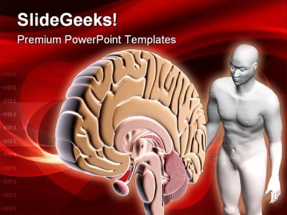 Brain Human People PowerPoint Template 0610 Brain Human People PowerPoint Template 0610