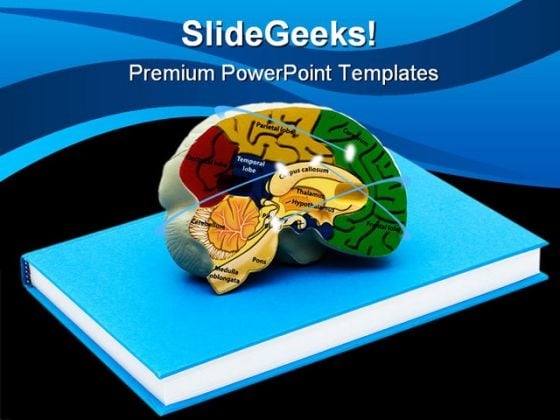 Brain Science PowerPoint Backgrounds And Templates 1210 Brain Science PowerPoint Backgrounds And Templates 1210