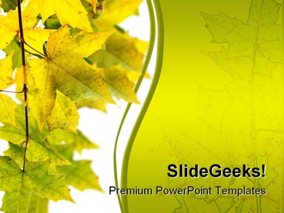 Branch Of Maple Nature PowerPoint Template 1010 Branch Of Maple Nature PowerPoint Template 1010