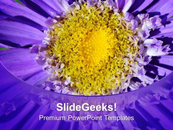 Bright And Colorful Macro Flowers PowerPoint Templates Ppt Backgrounds For Slides 0513