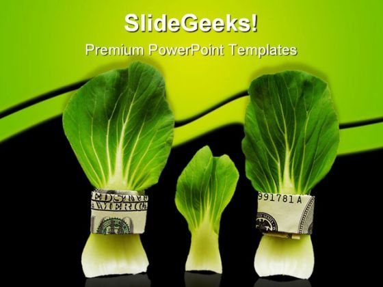 Budget Family Money PowerPoint Themes And PowerPoint Slides 0511 Budget Family Money PowerPoint Themes And PowerPoint Slides 0511