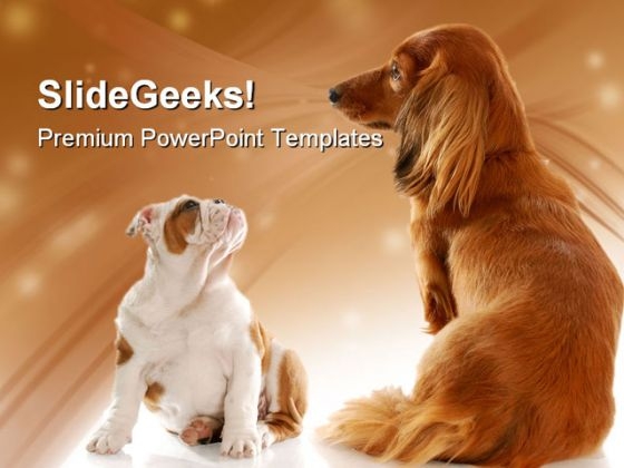 Bull Dog Puppy And Dachshund Animals PowerPoint Templates And PowerPoint Backgrounds 0211 Bull Dog Puppy And Dachshund Animals PowerPoint Templates And PowerPoint Backgrounds 0211