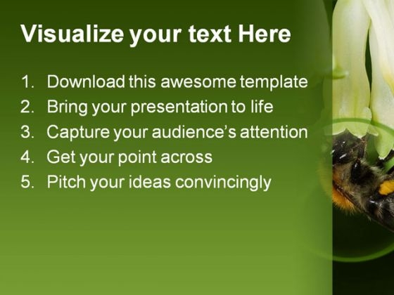 bumblebee_animals_powerpoint_backgrounds_and_templates_1210_text