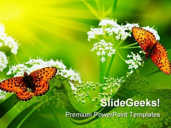 Butterflies On Flowers Nature PowerPoint Templates And PowerPoint Backgrounds 0211 Butterflies On Flowers Nature PowerPoint Templates And PowerPoint Backgrounds 0211