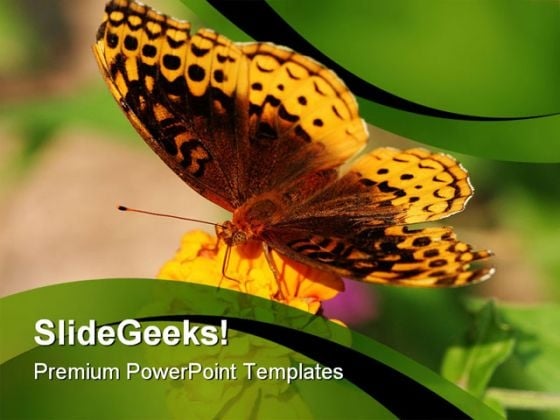 Butterfly And Sunflower Animals PowerPoint Templates And PowerPoint Backgrounds 0211 Butterfly And Sunflower Animals PowerPoint Templates And PowerPoint Backgrounds 0211