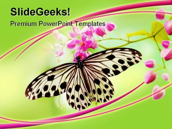 Butterfly Animals PowerPoint Template 0910 - PowerPoint Templates