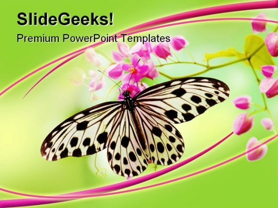 Butterfly Animals PowerPoint Template 0910 Butterfly Animals PowerPoint Template 0910