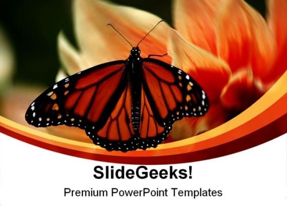 Butterfly Beauty Nature PowerPoint Themes And PowerPoint Slides 0211 Butterfly Beauty Nature PowerPoint Themes And PowerPoint Slides 0211