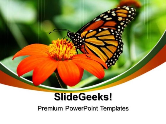 Butterfly Nature PowerPoint Templates And PowerPoint Themes 0512 Butterfly Nature PowerPoint Templates And PowerPoint Themes 0512