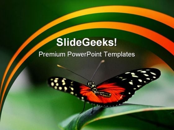 Butterfly Ready Animals PowerPoint Templates And PowerPoint Backgrounds 0211 Butterfly Ready Animals PowerPoint Templates And PowerPoint Backgrounds 0211