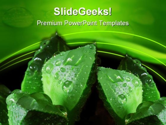 Cactus And Water Drops Nature PowerPoint Themes And PowerPoint Slides 0611 Cactus And Water Drops Nature PowerPoint Themes And PowerPoint Slides 0611