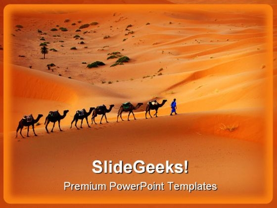 Camel Animals PowerPoint Templates And PowerPoint Backgrounds 0211 Camel Animals PowerPoint Templates And PowerPoint Backgrounds 0211