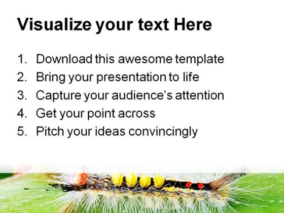 catapillar_animals_powerpoint_template_0910_print