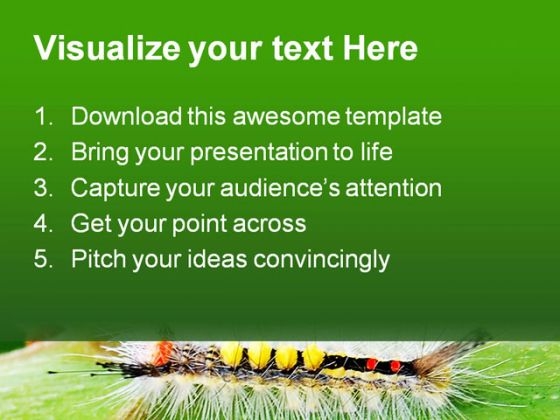catapillar_animals_powerpoint_template_0910_text