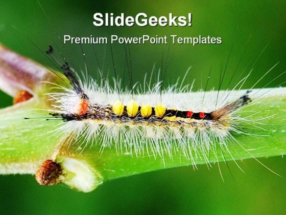 Catapillar Animals PowerPoint Template 0910 Catapillar Animals PowerPoint Template 0910