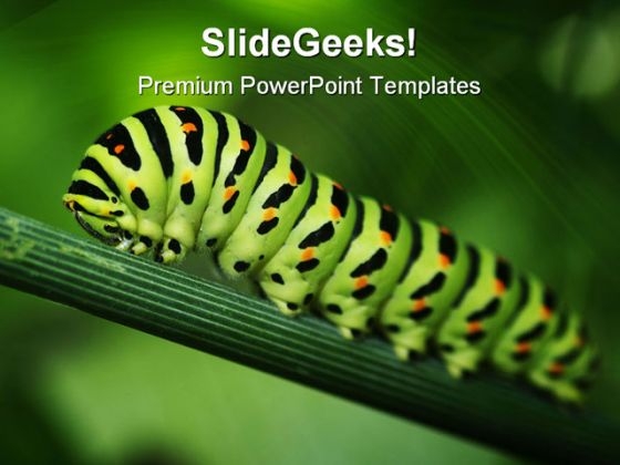 Caterpillar Animals PowerPoint Templates And PowerPoint Backgrounds 0211 Caterpillar Animals PowerPoint Templates And PowerPoint Backgrounds 0211