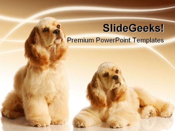 Cocker Spaniels Animals PowerPoint Templates And PowerPoint Backgrounds 0211 Cocker Spaniels Animals PowerPoint Templates And PowerPoint Backgrounds 0211