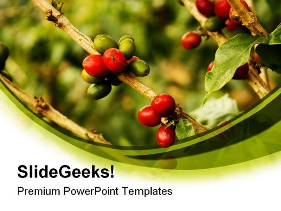 Coffee Plants Nature PowerPoint Templates And PowerPoint Backgrounds 0311 Coffee Plants Nature PowerPoint Templates And PowerPoint Backgrounds 0311