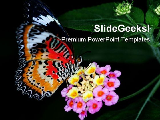Colorful Butterfly Animals PowerPoint Templates And PowerPoint Backgrounds 0211 Colorful Butterfly Animals PowerPoint Templates And PowerPoint Backgrounds 0211
