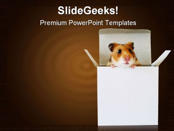 Cramped Inside The Box Business Template 1010 Cramped Inside The Box Business Template 1010