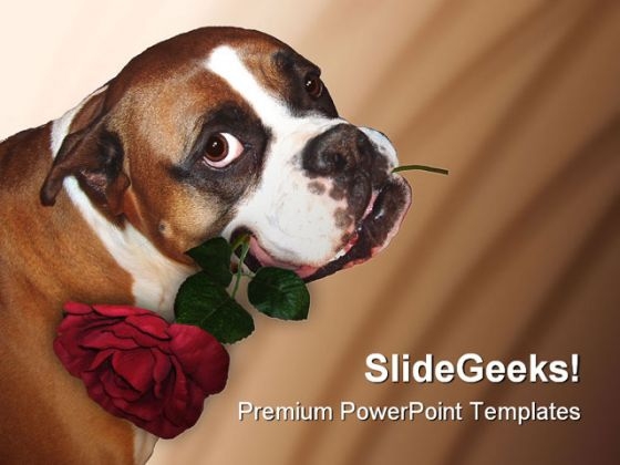 Cute Dog Animals PowerPoint Backgrounds And Templates 1210 Cute Dog Animals PowerPoint Backgrounds And Templates 1210