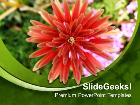 Dahelia Flower With Green Designer Background PowerPoint Templates Ppt Backgrounds For Slides 0713 Dahelia Flower With Green Designer Background PowerPoint Templates Ppt Backgrounds For Slides 0713