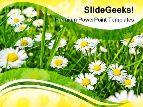 Daisies01 Beauty PowerPoint Template 1110 Daisies01 Beauty PowerPoint Template 1110