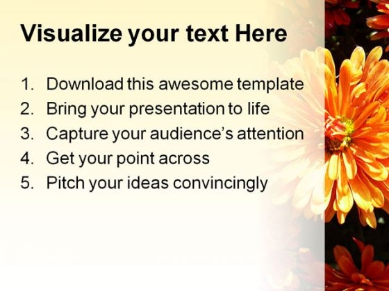 Daisies Beauty PowerPoint Template 1110 colorful visual