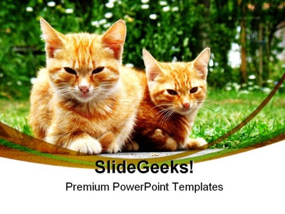 Dangerous Young Cats Animals PowerPoint Themes And PowerPoint Slides 0211 Dangerous Young Cats Animals PowerPoint Themes And PowerPoint Slides 0211