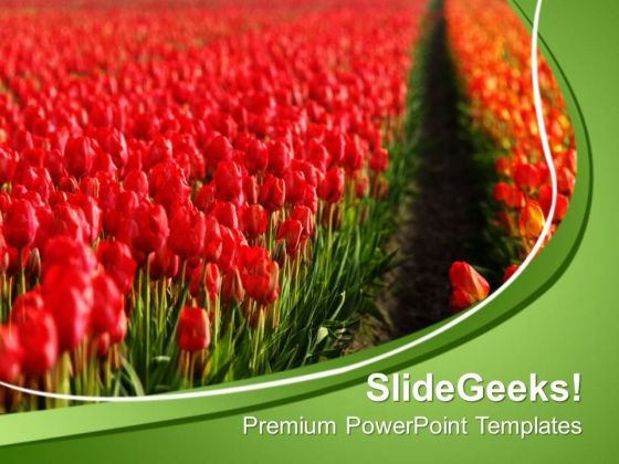 Decoration Of House Using Tulips PowerPoint Templates Ppt Backgrounds For Slides 0313 Decoration Of House Using Tulips PowerPoint Templates Ppt Backgrounds For Slides 0313
