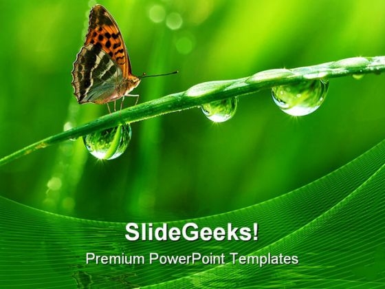 Dew And Butterfly Nature PowerPoint Themes And PowerPoint Slides 0411 Dew And Butterfly Nature PowerPoint Themes And PowerPoint Slides 0411