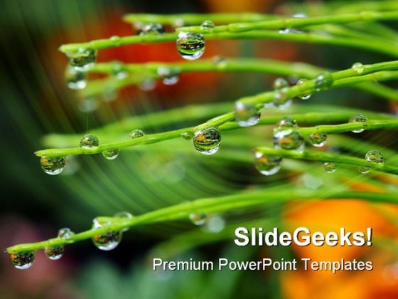 Dew Drops Nature PowerPoint Template 1110 Dew Drops Nature PowerPoint Template 1110