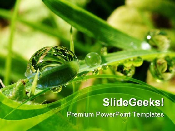 Dew Drops On Leaves Nature PowerPoint Themes And PowerPoint Slides 0411 Dew Drops On Leaves Nature PowerPoint Themes And PowerPoint Slides 0411