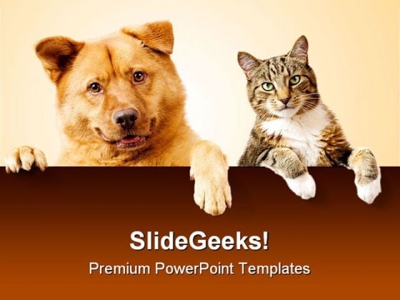 Dog Cat Friends Animals Powerpoint Backgrounds And Templates 1210 Powerpoint Themes
