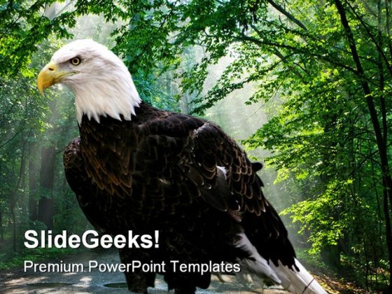 Eagle Animals PowerPoint Template 1010 Eagle Animals PowerPoint Template 1010