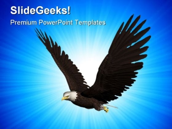 Eagle Flying Animals PowerPoint Themes And PowerPoint Slides 0211 Eagle Flying Animals PowerPoint Themes And PowerPoint Slides 0211