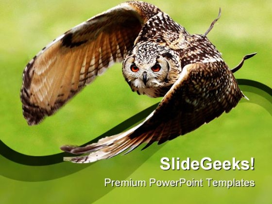 Eagle Owl In Flight Animals PowerPoint Templates And PowerPoint Backgrounds 0111 Eagle Owl In Flight Animals PowerPoint Templates And PowerPoint Backgrounds 0111