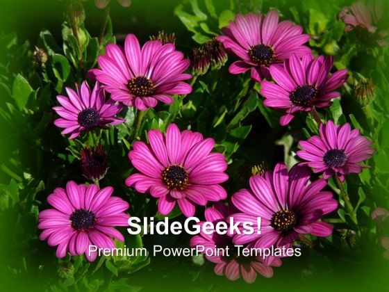 Elegant Composition Of Gerbera Flowers PowerPoint Templates Ppt Backgrounds For Slides 1212